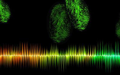 Audio Recognition: a new horizon for public safety and forensic investigation
