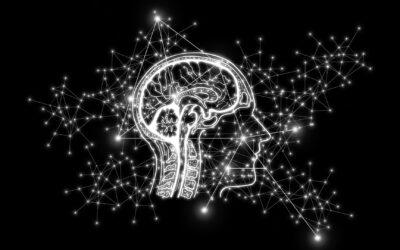 What is the connection between Human Intelligence and Artificial Intelligence?